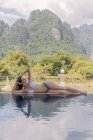 Жінка в бікіні лежить біля басейну — стокове фото