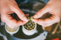 Donna che prepara marijuana comune — Foto stock