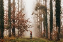 Женщина стоит в туманном лесу — стоковое фото