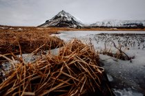 Hierba seca y montaña nevada - foto de stock