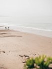 Surfers walking on beach — Stock Photo