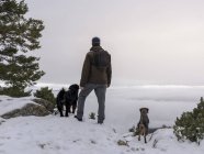 Hiker and dogs in snowy mountains — Stock Photo
