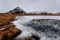 Hierba seca y montaña nevada - foto de stock