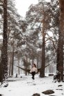 Femme assise dans un hamac en hiver — Photo de stock