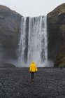 Visão traseira do homem perto da cachoeira — Fotografia de Stock