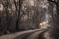 Estrada de campo gelada na floresta — Fotografia de Stock