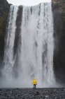 Вид сзади на человека возле водопада — стоковое фото