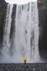 Back view of man near waterfall — Stock Photo