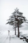 Frau mit Regenschirm steht im Winter — Stockfoto