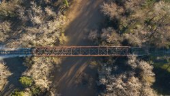 Alte Eisenbahn über schmutzigem Fluss im Wald bei Sonneneinstrahlung? Bäume — Stockfoto