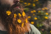 Человек с цветами в бороде — стоковое фото