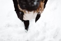 Mulher andando na estrada nevada — Fotografia de Stock
