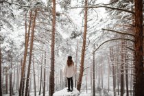 Женщина, стоящая на скале в снежном лесу — стоковое фото