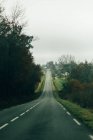 Асфальтовая дорога в зеленой природе — стоковое фото