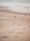 Турист, стоящий у спокойного океана — стоковое фото