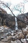 Quellzweige und Wasserfall — Stockfoto