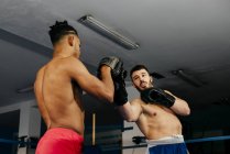 Men putting on gloves on ring — Stock Photo