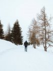 Kleine immergrüne Bäume in verschneiter Natur am Wintertag, Sankt Moritz, Schweiz — Stockfoto