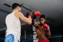 Treinamento de homens e boxe — Fotografia de Stock
