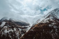 Bosque y montañas cubiertas de nieve - foto de stock