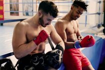 Muskulöse Männer ziehen Boxhandschuhe an — Stockfoto