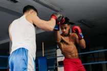 Мужская подготовка и бокс — стоковое фото