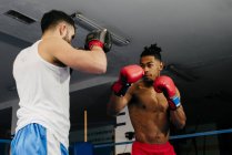 Чоловіки тренування і бокс — стокове фото