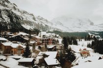 Casas de pueblo cubiertas de nieve - foto de stock