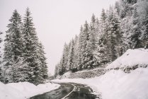 Route de montagne enneigée et arbres — Photo de stock