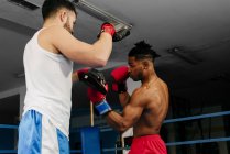 Treinamento de homens e boxe — Fotografia de Stock