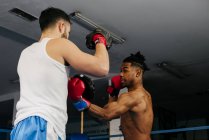 Мужская подготовка и бокс — стоковое фото