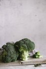 Fresh broccoli florets — Stock Photo