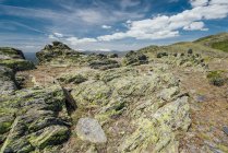 Rocas cubiertas de musgo en Pico Ocejn, España - foto de stock