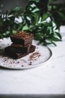 Trozos de sabroso brownie - foto de stock