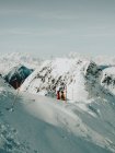 Skifahrer stehen in verschneiten Bergen — Stockfoto