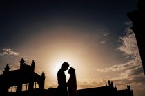 Seitenansicht der Silhouette eines jungen Paares, das im Park steht und sich umarmt. — Stockfoto