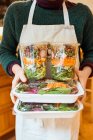 Готувати холдингу контейнери з салатом — стокове фото