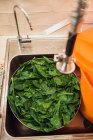 Espinafre na pia da cozinha — Fotografia de Stock