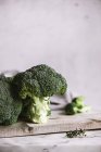 Fiori di broccoli freschi — Foto stock
