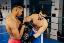 Men putting on gloves in ring — Stock Photo