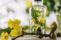 Ефірна олія з квітами і травами — стокове фото