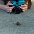 Female hands shooting snail — Stock Photo