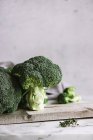 Fiori di broccoli freschi — Foto stock
