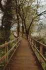 Larga pasarela pavimentada con paneles de madera entre exuberantes árboles verdes en el bosque de Bizkaia - foto de stock