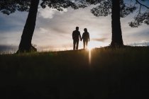 Silhouette di una coppia che si bacia al tramonto drammatico vicino a un albero — Foto stock