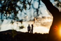 Silhouette di una coppia che cammina al tramonto scenico vicino a un albero — Foto stock