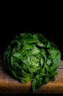 Голова свіжий салат — стокове фото