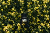 Retro photo camera with photo of nature with yellow flowers on display — Stock Photo