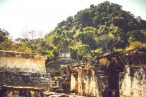 Руины пирамид майя, Паленке, Чьяпас, Мексика — стоковое фото