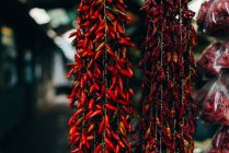 Diferentes chiles colgando y colgando en el mercado campesino - foto de stock